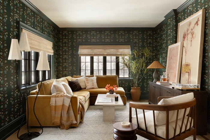 12 Apartment Living Room Ideas That Make the Most of Small Space
